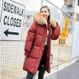 Winter new Slim cotton clothing women's long section thick-Brick red-3