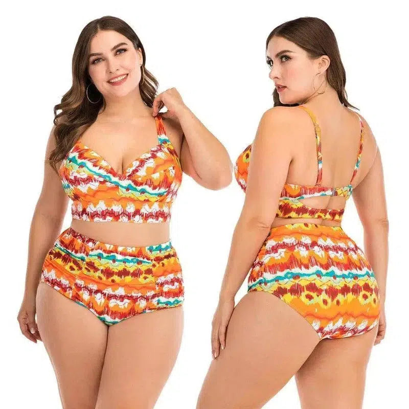 Plus size split swimsuit-Picturecolor-1